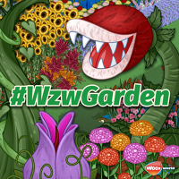 La beauté non pixelisée !