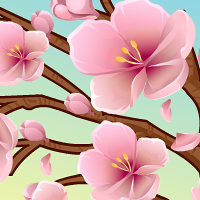 Voe com as suas Asas Sakura!